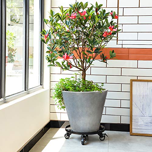 Amagabeli 2 Pack 14" Plant Caddy with Wheels Heavy Duty Iron Potted Rolling Plant Stand Dolly with Brake Metal Planter Flower Pot Rollers Movers Indoor Outdoor Trolley Casters Coaster (14 inch x 2 pack)