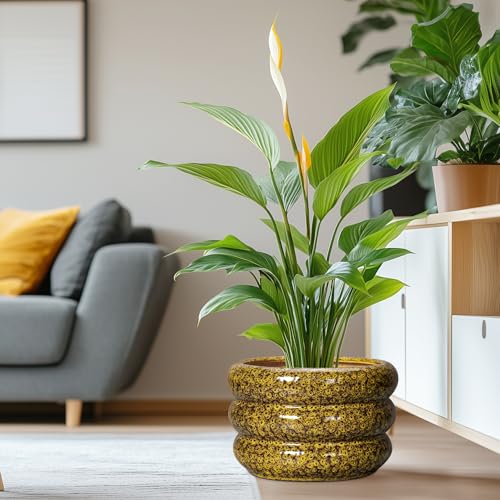 Ceramic Pots for Plants (13 Inch / Leopard Print Yellow)