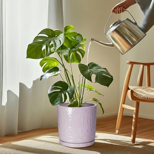 Plant Plates to Catch Water (9.3 Inch / Purple)