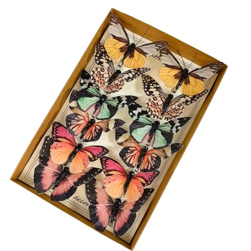 Artificial Feather 3D Butterfly Party Decorations Set of 12 with Clip 6 Color Ornaments for Home Decoration (B Clip)
