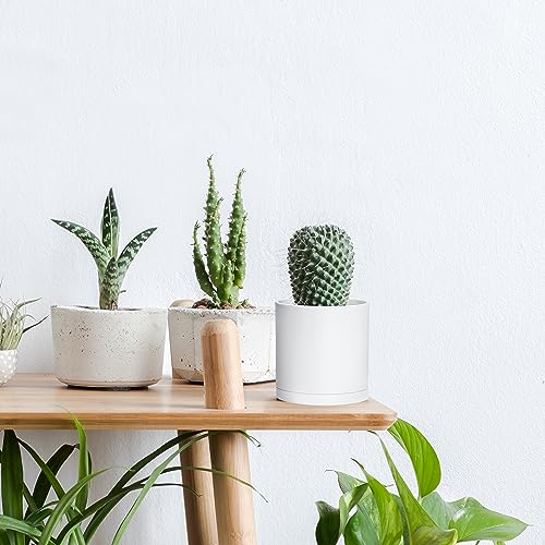 2 Pack White Plastic Planters with Saucers (4")