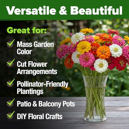 Pumila Dwarf Zinnia Mix 700 Flower Seeds Zinnia elegans