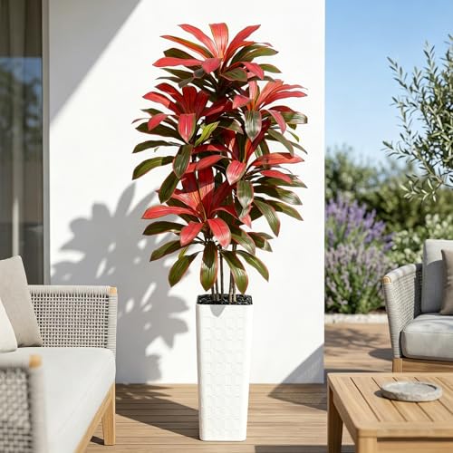 Artificial Dracaena Tree (Burgundy – White Pot / 7FT)