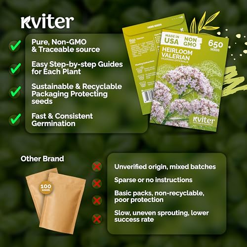 650 Valerian Heirloom Herb Seeds for Planting