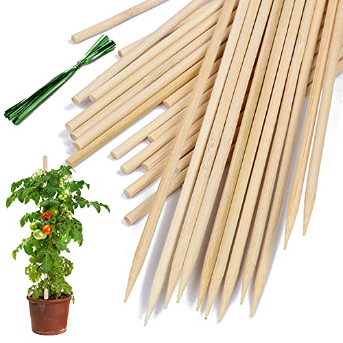 Bamboo Plant Stakes25Pack (Burlywood / 14 Inch 25Pack)