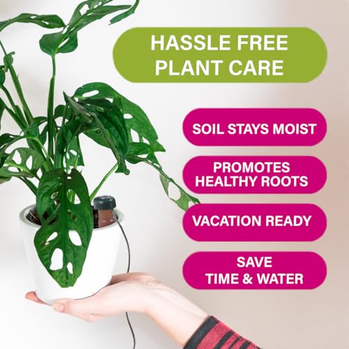 Classic Self Watering Stakes (15 Count)