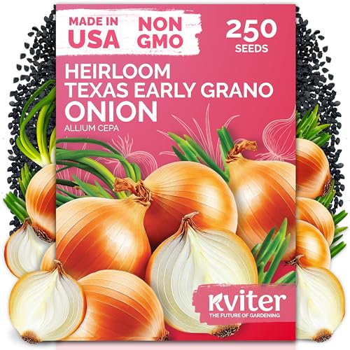 250 Texas Early Grano Onion Heirloom Vegetable Seeds