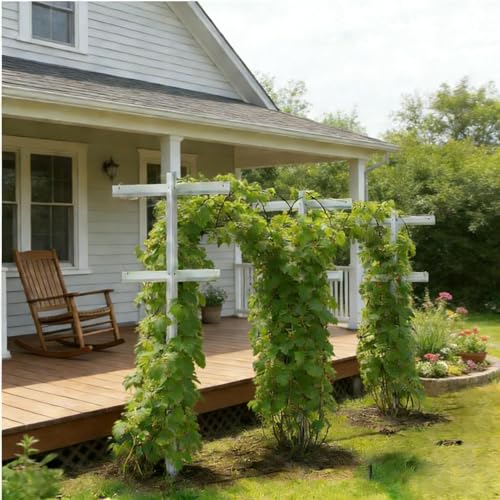 MRGARDEN 5 Feet Grape Vine Trellis 2packs for Raspberry (5 Feet-2trellis)