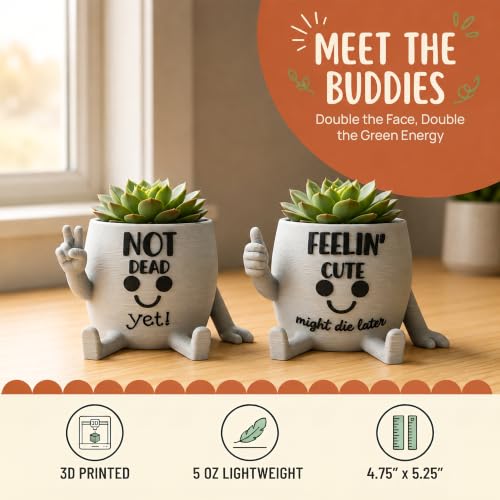 Funny Face Indoor Head Planter Pot