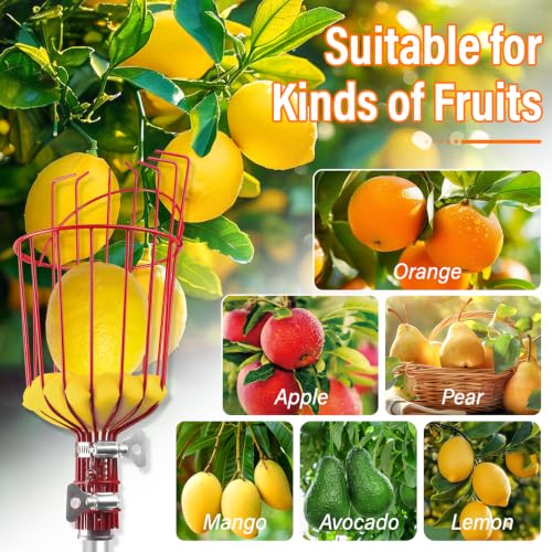 30 FT Reach Fruit Picker Pole with Basket Telescoping (Reach 30ft（24ft))