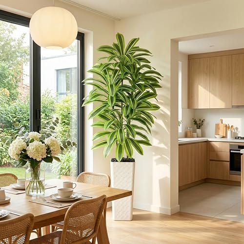 Artificial Dracaena Tree (Light Green – White Pot / 7FT)