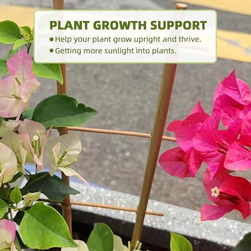 5 Pack Bamboo Trellis for Climbing Plants Indoor