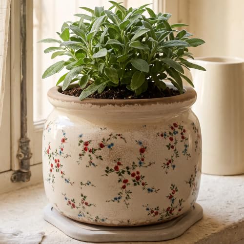 Cottage Core Ceramic Plant Pot with Decorative Saucer (Tiny Red / 7.7 in - w/ Saucer)