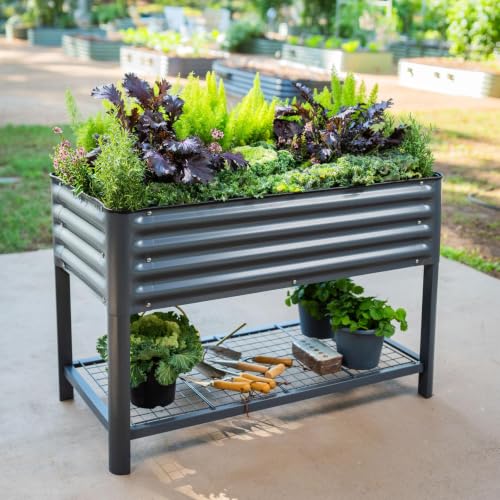 Elevated Raised Garden Bed