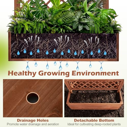 Raised Garden Bed with Trellis 2 Pack (Brown / 60"Lx22"Wx72"H)