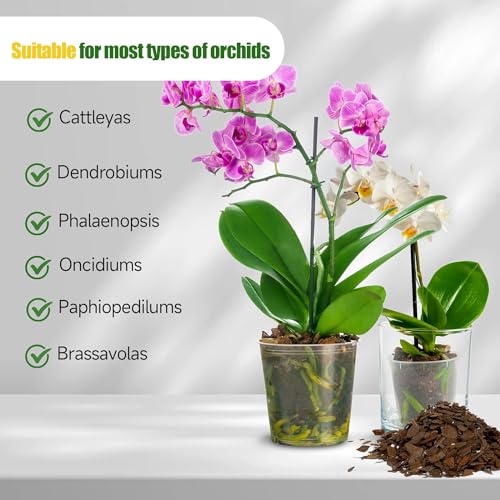 Organic Orchid Potting Mix 2qt (64 Fl Oz)