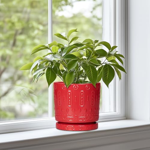 6 Inch Plant Pot (6 Inch / Red)