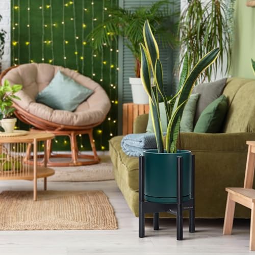 Ceramic Pot with Ebony Wood Stand