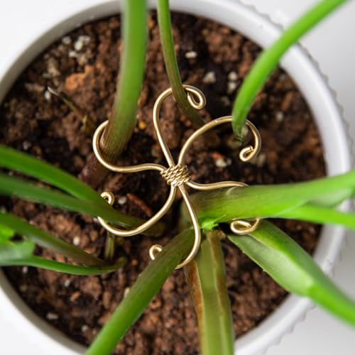 2.75IN Gold Monstera Plant Stem Support Set (Gold / 2.75IN*2.75IN)