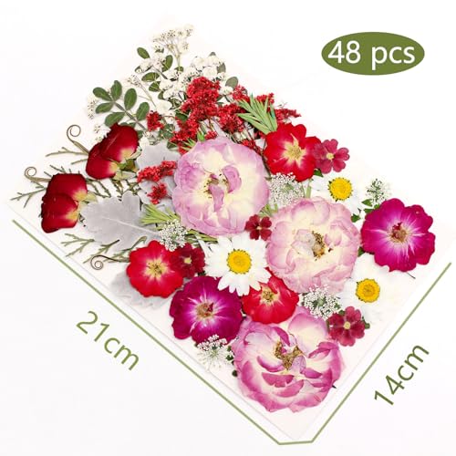 48 Pcs Mix Natural Dried Pressed Flowers for Cake Decorating (Rose)