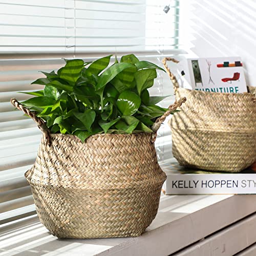 12 Pcs Woven Seagrass Baskets Belly Basket (L,13''dx11''h)