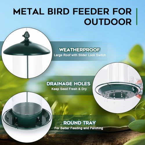Metal Bird Feeders for Outdoors Hanging (Green)