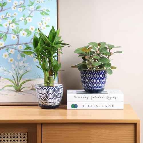Ceramic Succulent Pots (Vintage Blue / 4.6 Inch, Set of 6)