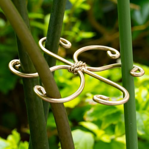 2.75IN Gold Monstera Plant Stem Support Set (Gold / 2.75IN*2.75IN)