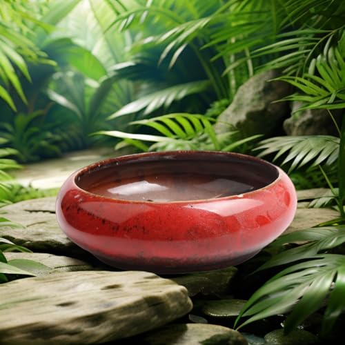 Lotus Bowl Planter (Red)