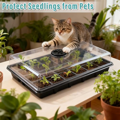 10 Pack Seed Starting Trays with Humidity Dome & Large 24 (Black / 10 Sets)
