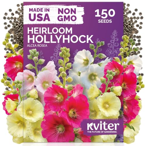 150 Hollyhock Heirloom Flower Seeds for Planting