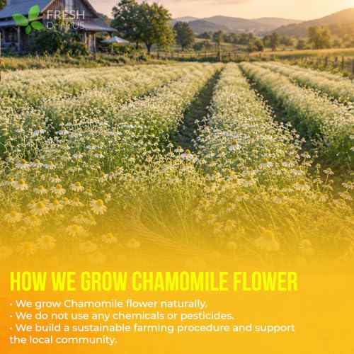 135 Chamomile Tea Bags (135 Tea Bags)