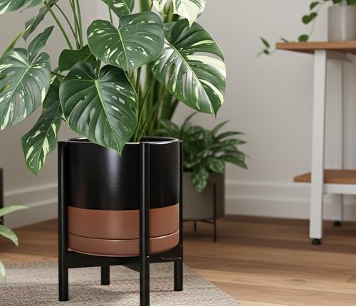 Ceramic Pot with Ebony Wood Stand (14 Inch / Black/Speckled Tan Pot + Ebony Stand)