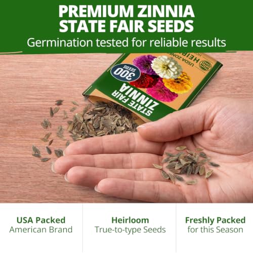 State Fair Zinnia Seeds