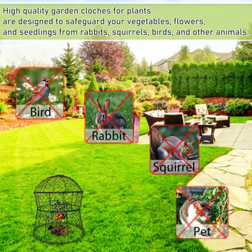 Garden Cloches for Plants 6 Pack Metal Plant Protectors from Animals Chicken Wire Cloche Updated Plant Cages for Outdoor Plants Vegetables Seedlings 13" D x 14" H (6 Pack)