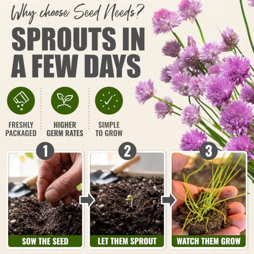 Herb Seeds to Plant Common Chives Heirloom Non (5 Packs)