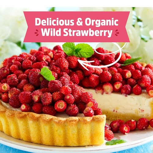 Organic Strawberry Grow Kit (Strawberry)