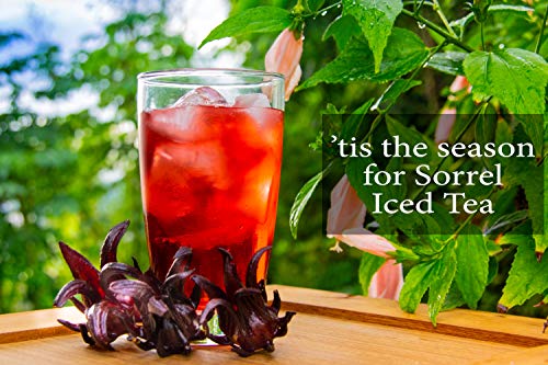 Sorrel Hibiscus Flowers