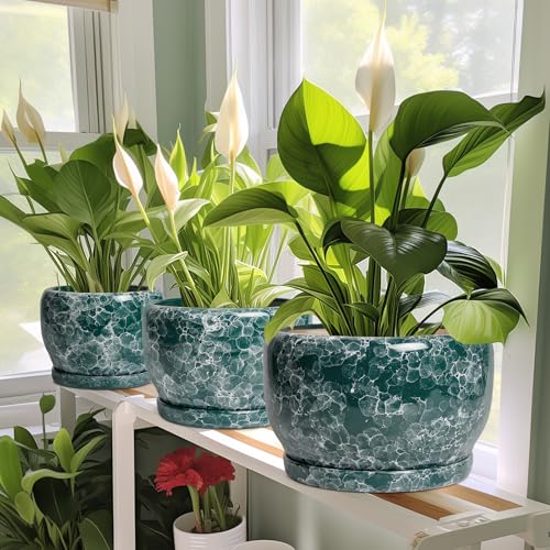 Ceramic Pot for Plants