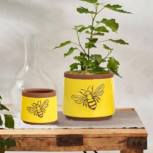 YBX Terracotta Pots Inch with Drainage Holes (6+4 Inch / Yellow)
