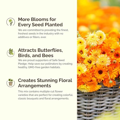 Shorty Low Grow Wildflower Mixed Seeds for Planting