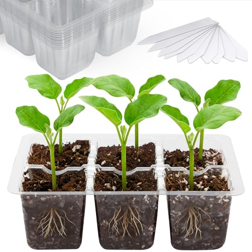 10 Pack Seed Starter Trays (Clear / 60 XL Cells)