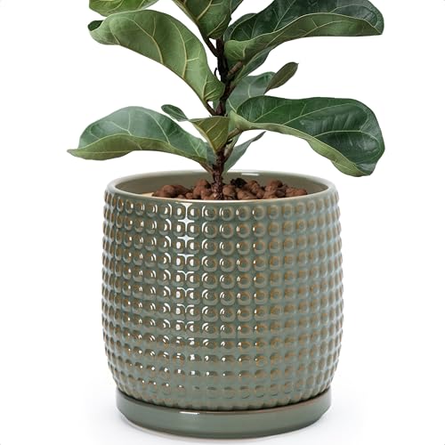 Beaded Ceramic Pot with Saucer (8.8 Inch / Olive)