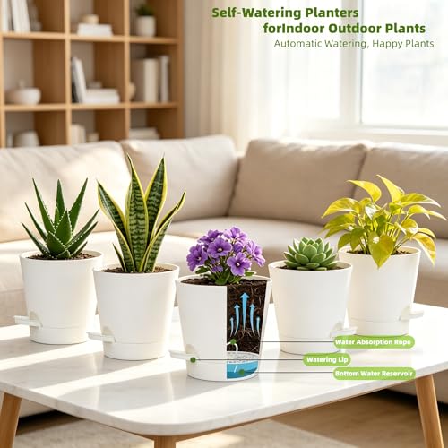 5 Pack 5 Inch African Violet Pots Self Watering (White / 5 inch 5 pcs)