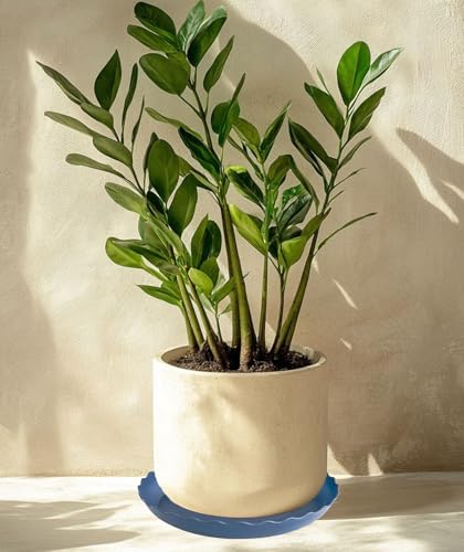2 Pack of 12 inch Plant Saucer Plant Tray (12" (2 pack) / Blue)