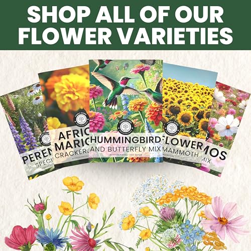 Hummingbird Butterfly Mix