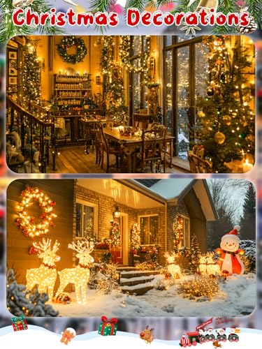 Christmas Cluster Lights 100FT 2000 LED String Light with Remote Warm White (Warm White / 2000LED)