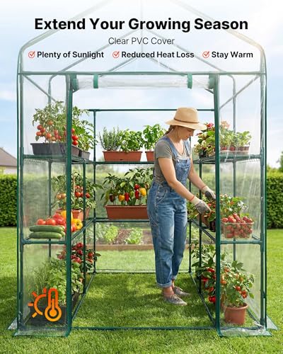 Walk in Greenhouse (Clear / 4.5x4.5x6.4 ft)