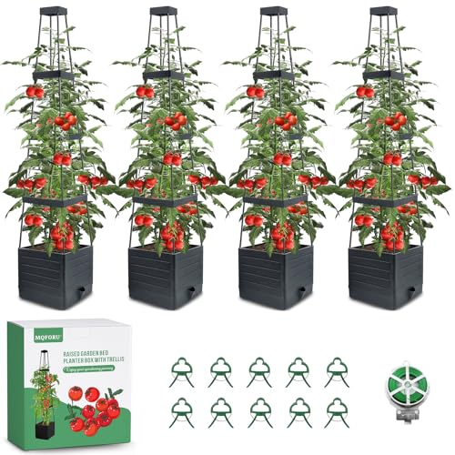 Tomato Planter Boxes with Trellis Outdoor