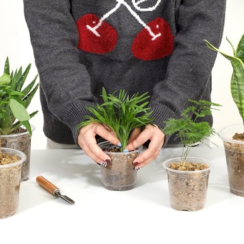 60 Pack 4 Inch Clear Nursery Pots with Drainage Hole (4 Inch 60 pack)